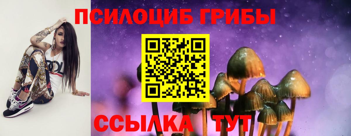 Янаул  Галлюциногенные грибы MAGIC MUSHROOMS  Вход с VPN 